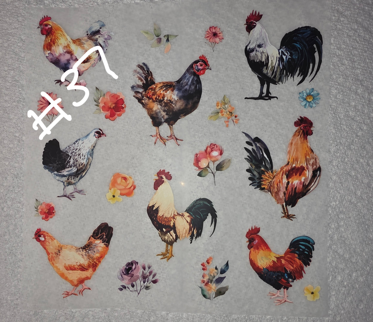 Tshirt transfers